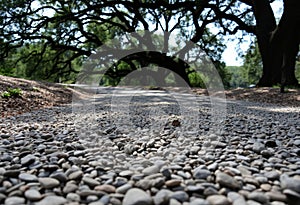 creative Rustic Gravel Path A close up of a winding gravel photo