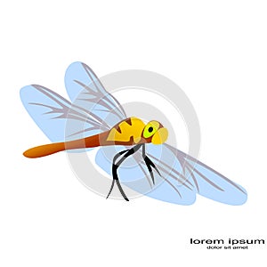 Creative sample design dragonfly logo