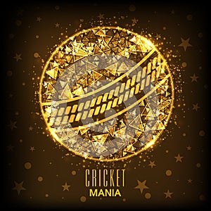 Creative shiny ball for Cricket Mania concept.