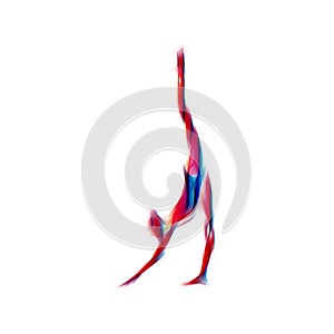 Creative silhouette of gymnastic girl. Art gymnastics flexible girl