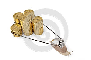 Creative snail pulling gold coin stacks.3D illustration.