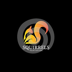 creative squirrel animal logo design icon symbol illustration-vector