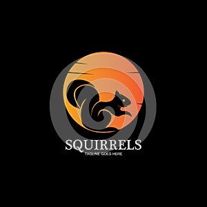 creative squirrel animal logo design icon symbol illustration-vector