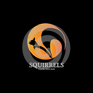 creative squirrel animal logo design icon symbol illustration-vector