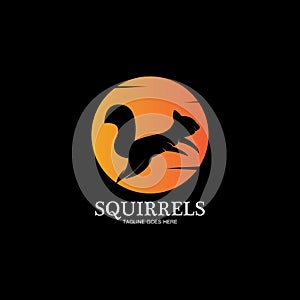 creative squirrel animal logo design icon symbol illustration-vector