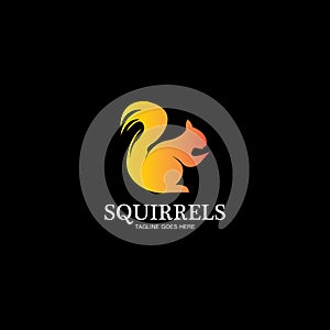 creative squirrel animal logo design icon symbol illustration-vector