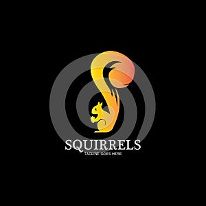 creative squirrel animal logo design icon symbol illustration-vector