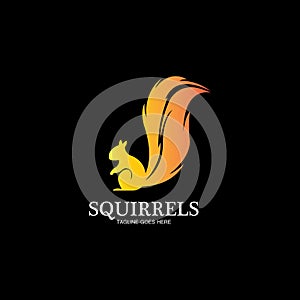 creative squirrel animal logo design icon symbol illustration-vector