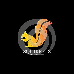 creative squirrel animal logo design icon symbol illustration-vector