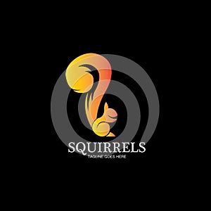 creative squirrel animal logo design icon symbol illustration-vector