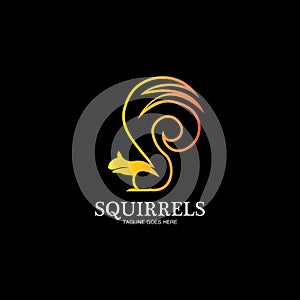 creative squirrel animal logo design icon symbol illustration-vector