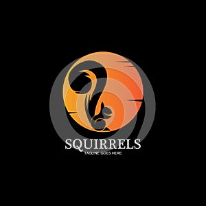 creative squirrel animal logo design icon symbol illustration-vector