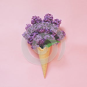 Creative still life. Bouquet of purple lilac flower in ice cream cone on pale pink background. Spring concept. Top view.