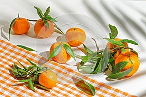 Creative still life composition made of fresh orange tangerins on white background with palm tree leaf shadow. Healthy food