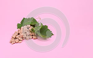 Creative The sugar content of grapes. Bunch of grapes made of sugar on a pink background. Mock up