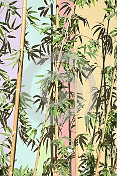 Creative Summer background concept of bamboo branches. Green tree with leaves on colorful pastel wall