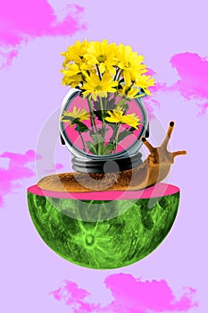 Creative surreal pop illustration collage of funny painted snail with cosmonaut helmet with decoration flowers shell