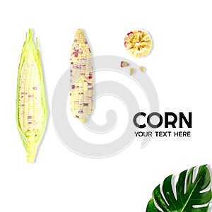 Creative of Sweet corn on white background