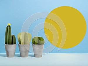 Creative three-dimensional paper cactuses for creative design.
