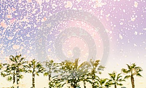 Creative toned summer background with palm trees and bubbles and soap foam from pool party blower against colorful sky