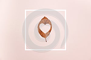 Creative Top view flat lay autumn composition dried leaf with heart carved in middle and white frame on pink background
