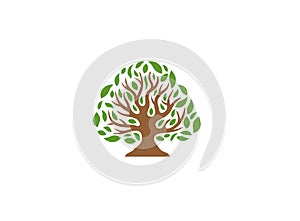 Creative Tree Logo