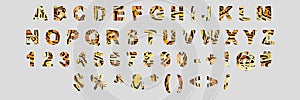 Creative typeset- stylish classic font. 3d illustration character collection