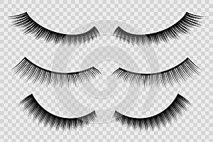 Creative vector illustration of false eyelashes, female lashes, mascara lash brush isolated on transparent background