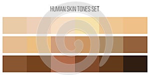 Creative vector illustration of human skin tone color palette set isolated on transparent background. Art design