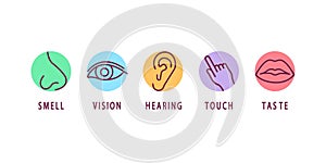 Creative vector illustration line icon set of five human senses. Vision, hearing, smell, touch, taste isolated on