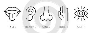 Creative vector illustration line icon set of five human senses