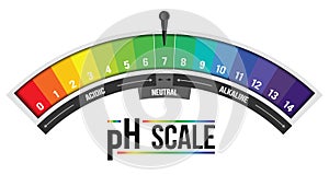 Creative vector illustration of pH scale value isolated on background. Chemical art design infographic. Abstract concept graphic l