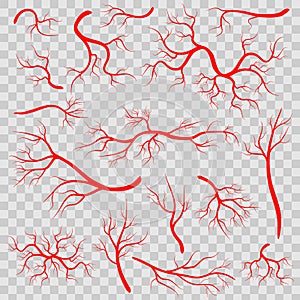 Creative vector illustration of red veins isolated on background. Human vessel, health arteries, Art design. Abstract