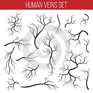 Creative vector illustration of red veins isolated on background. Human vessel, health arteries, Art design. Abstract