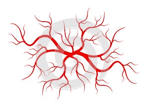 Creative vector illustration of red veins isolated on background. Human vessel, health arteries, Art design. Abstract