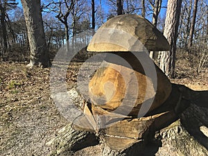 Creative way to cut down trees - wooden mushroom sculpture carved out of a trunk