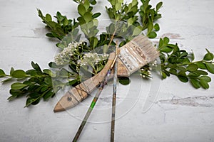 Creatively placed dry used paintbrushes placed lay flat design organic green branches framed on wooden background