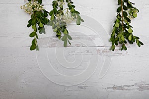 Creatively placed lay flat design organic green branches framed on wooden background