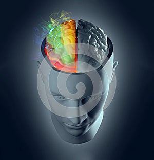 Creativity cerebral hemisphere concept