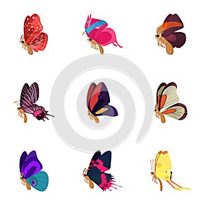 Creatures butterflies icons set, cartoon style