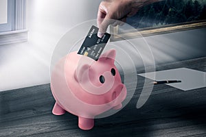 Credit card in piggy bank pink