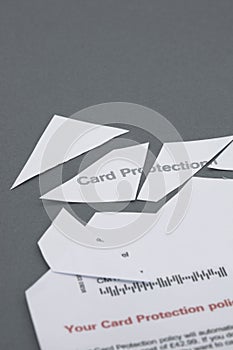 Credit card protection policy cut into pieces