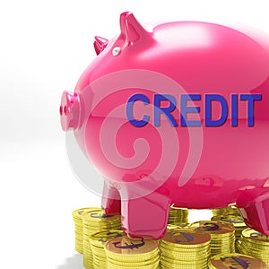 Credit Piggy Bank Means Financing From Creditors