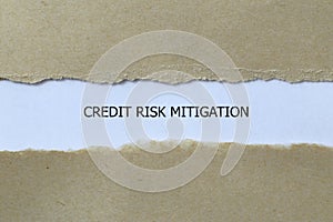 credit risk mitigation on white photo