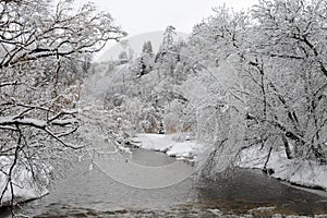 Credit River in the cold winter morning