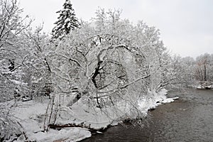 Credit River in the cold winter morning