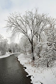 Credit River in the cold winter morning