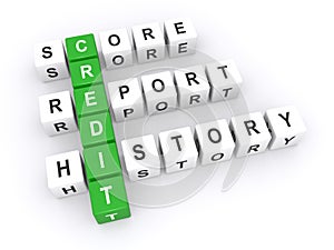 Credit score report