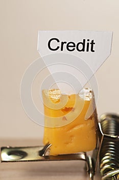 Credit sign on a cheese in mouse trap