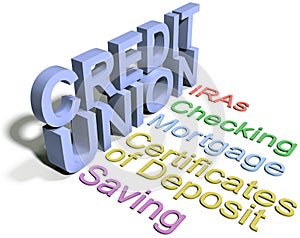 Credit union financial business services